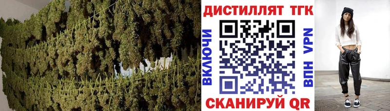 где купить наркоту  Киселёвск  ТГК гашишное масло 